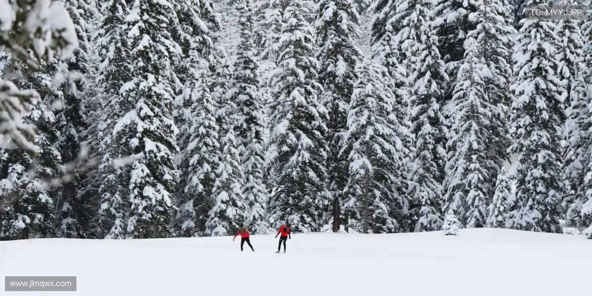 👟潮流装备，个性定制！从球鞋到球衣，打造专属你的运动风格！🎾